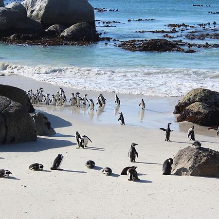 Boulders Beach House Simon's Town Bagian luar foto