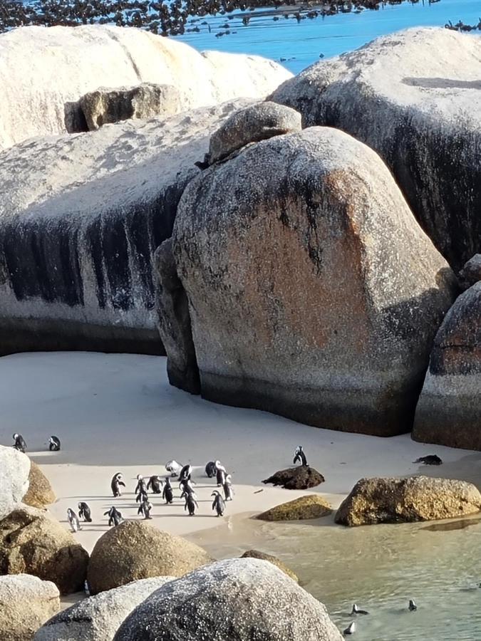 Boulders Beach House Simon's Town Bagian luar foto